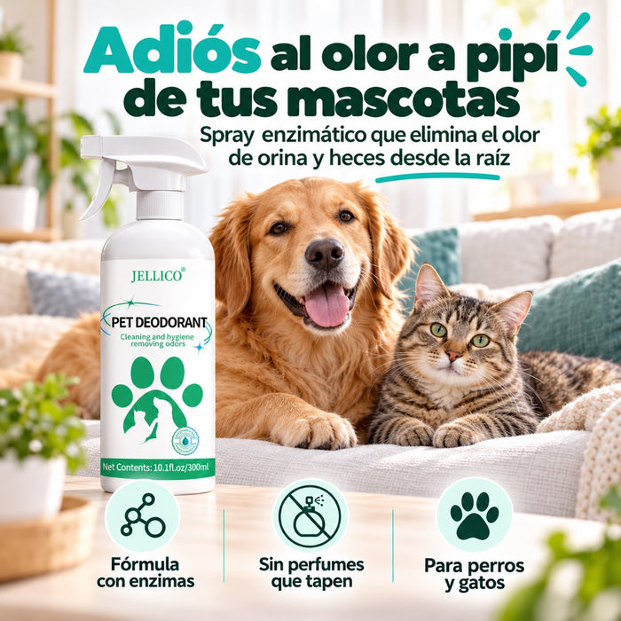 Eliminador de Olor a Orina y Heces para Gatos y Perros – Spray Enzimático 300 ml